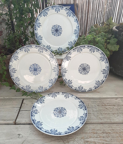 Assiettes plates - 1+3,