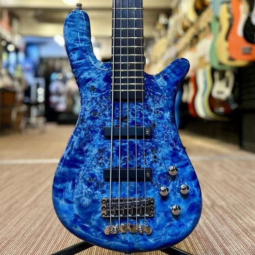 Warwick pro series streamer - warwick, lx