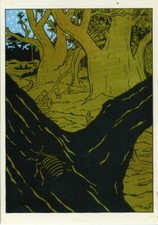 CHALAND LE JEUNE ALBERT LE FETICHE TINTIN CARTE COULEURS 