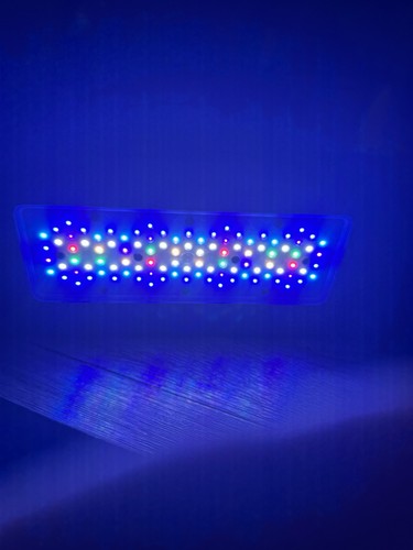 Ecotech radion xr30 - radion,
