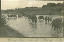 Maroc, Caravane de chameaux