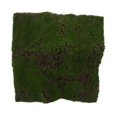 Tapis De Mousse Vegetale