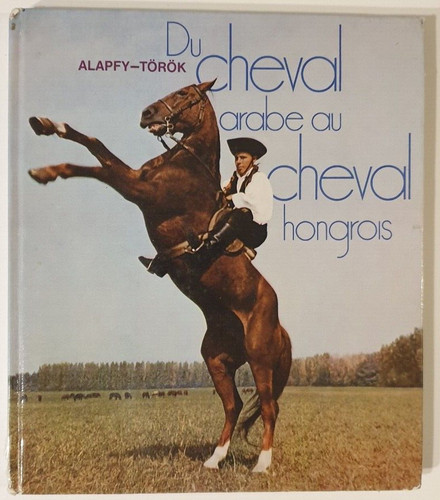 Cheval arabe - du,