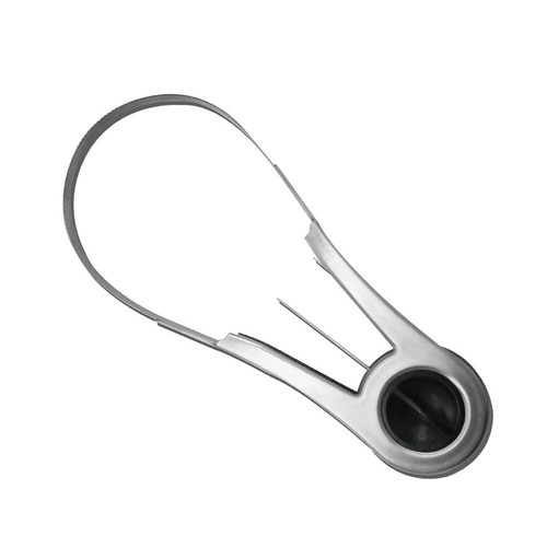 Acier inoxydable fruit couteau - acier,