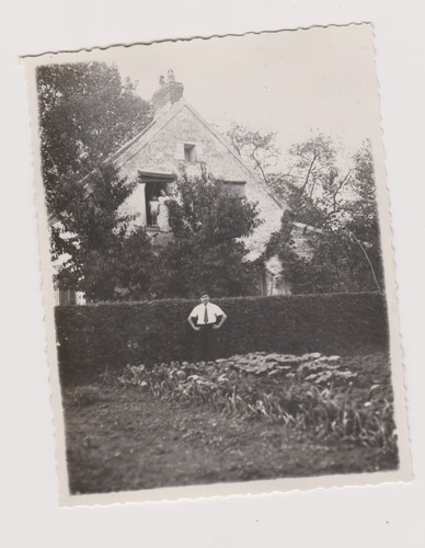 Photo homme devant jardin - photo,