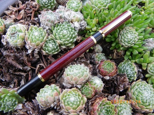 Ancien stylo roller waterman - stylo,