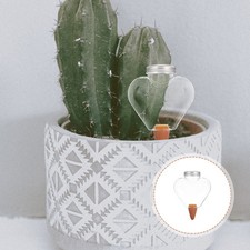  Bulbe D Arrosage De Bulbes ’ Dispositif D'arrosage Plantes Dispositifs