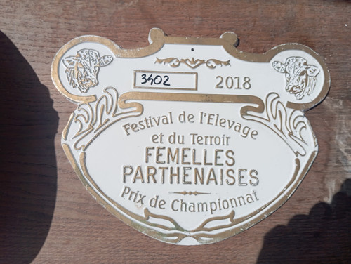 Grande plaque concours - grande,