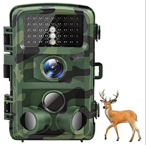 Caméra chasse à - caméra, de