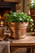 Cache pot porte - , plante