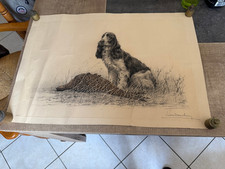 ANCIENNE LITHOGRAPHIE LEON DANCHIN CHIEN DE CHASSE ANNEE 1931