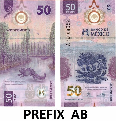 Pesos bill mexico axolotl - bill,