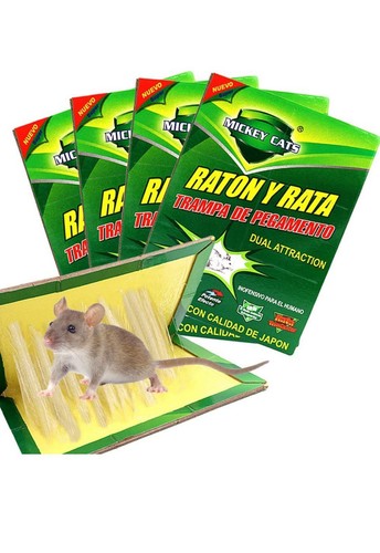 Piège souris et - 10,