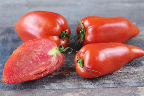 Graines tomate cornue - 25,