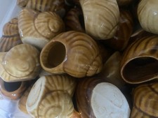 Lot coquilles - de,