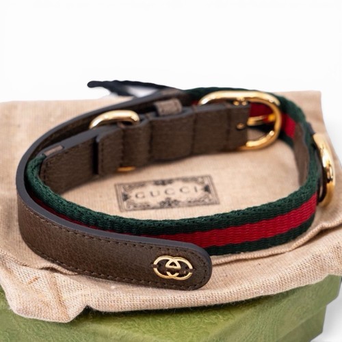 Collier pour chien - , gucci