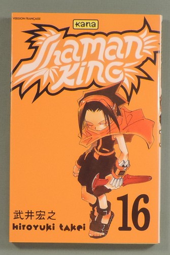 Shaman king hiroyuki takei - king, 16
