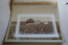 CHÂTEAU HAUT PEYRAGUEY 1er grand CRU SAUTERNES  photo ancienne projet étiquette