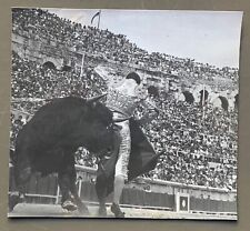 PHOTO NIMES  Arènes CORRIDA  Toréador TORERO MATADOR Taureau