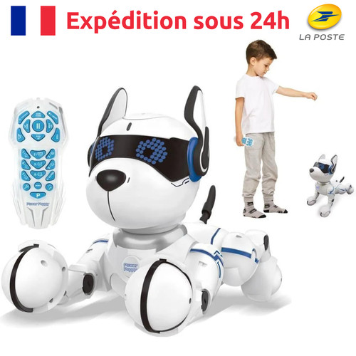 Chien robot savant - chien,