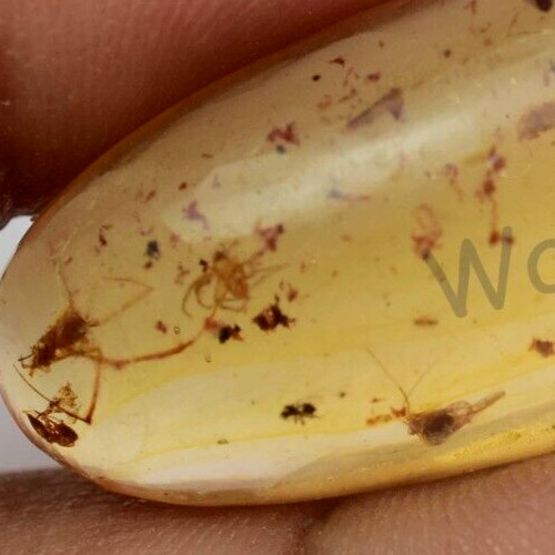 100 naturel jaune - naturel,