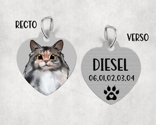 Médaille pour chat Sibérien personnalisée avec nom et numéro de téléphone