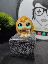 Lps891 My Littlest Petshop Pet