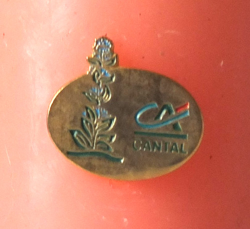 Pin cantal gentiane credit - pin,