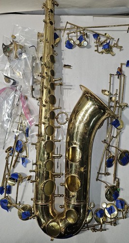 Grassi ida maria tenor - maria,