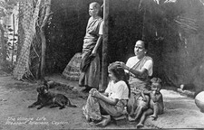 CEYLAN CEYLON SRI LANKA The Village Life Pleasant Idleness