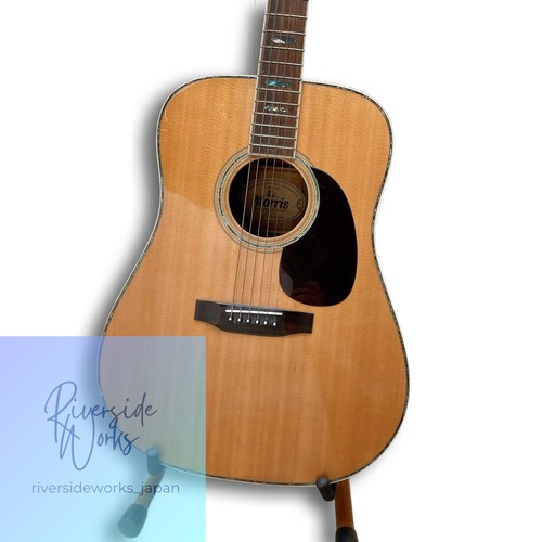 Guitare acoustique morris 40 - guitare,
