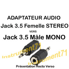 1 Adaptateur Jack 3,5 Stéréo Femelle vers  Jack 3,5 Mono Mâle Capot Plastique