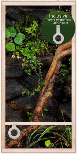 Terrarium osb bois 120 x - terrarium,