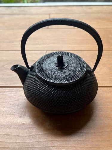 Théière nambu iron kyusu - théière,