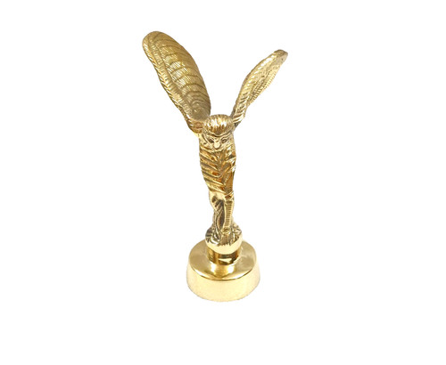 Badge insigne spirit - badge, of