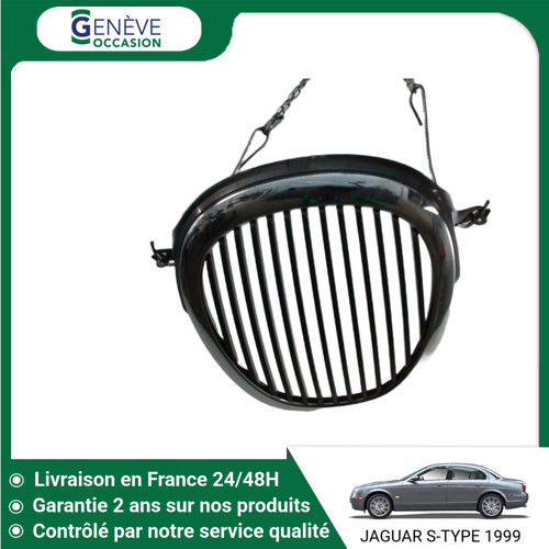 Calandre jaguar - 🇫🇷,