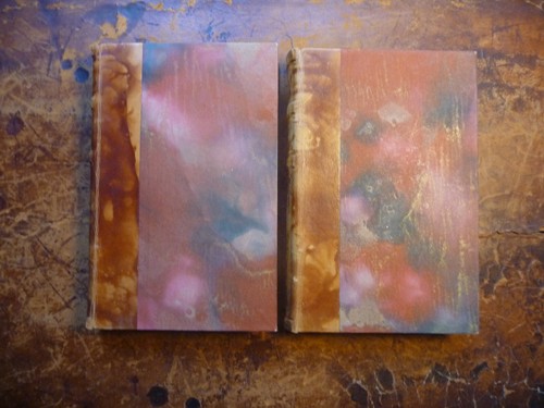 Oeuvres rabelais 2 tomes - oeuvres,