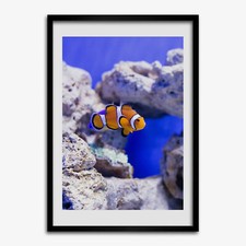 Photo 70x100cm MDF Cadre Le