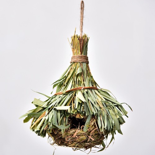 Accessoires pour oiseaux - pour,