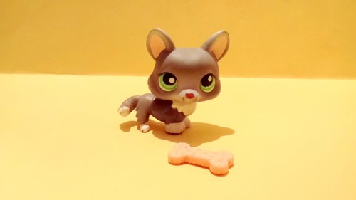 Lps littlest pet shop - lps, chien