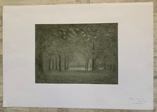 Fusain DESROSIERS Parc Nature