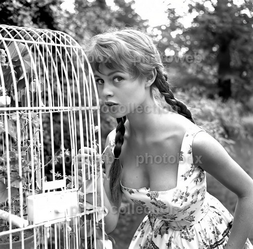 Brigitte bardot exclusive - -,