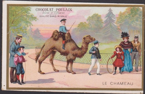 Chromo ancien chocolat - chromo,