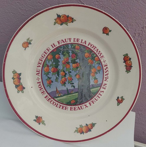 Assiette potasse alsace - potasse, 'alsace