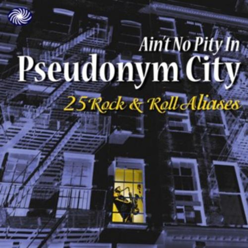Various artists ain pity - artists, no