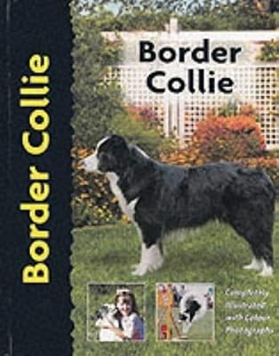 Border collie - (pet, love)