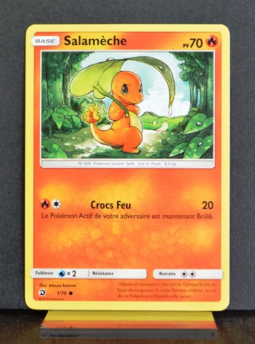 Carte pokémon 70 - carte,