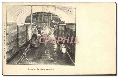 Brasserie cave de - -,