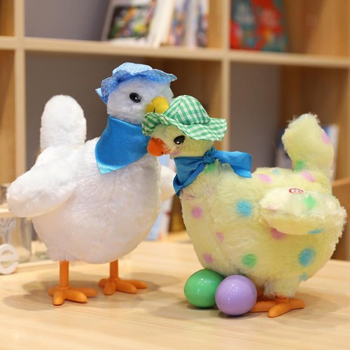 Poule pondeuse oeufs - poule, de