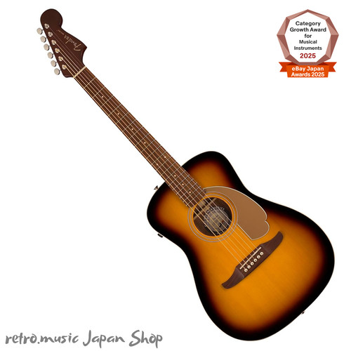 Guitare acoustique électrique - guitare, acoustique-électrique